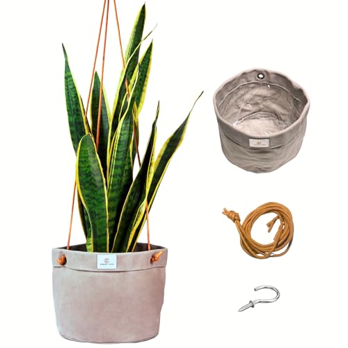 Large Waxed Canvas Handmade Hanging Planter for Indoor/Outdoor Plants, Hanging Basket Plant Holder Stone Gray with Hook - color: Stone Gray, size: 8 Inch