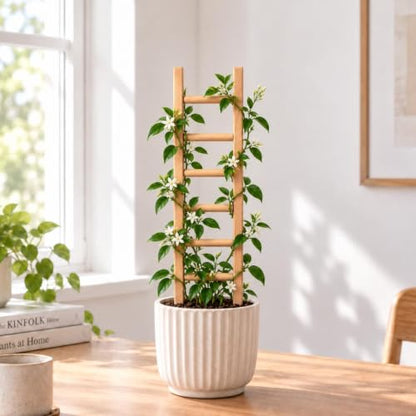 16" Wooden Trellis for Pothos & Climbing Plants - Indoor Support - size: 16" H