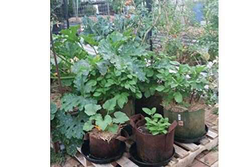 Soft POTS (10 Gallon) Best Fabric Aeration Garden POTS from Maui Mike's. Thicker Fabric and Sewn Handles for Easy Moving. Grow Bigger and Faster Tomatoes,Veggies and Herbs in Soft POTS.