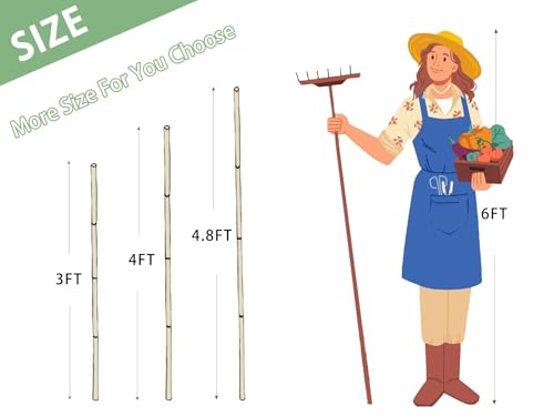 Bamboo Stakes,3Feet,50Pcs,Plant Bamboo Post,GUANGYE,Bamboo Garden Stakes - size: 3Ft,50Pack