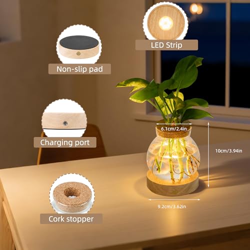 Plant Propagation Station with Light,Everkeen Valentines Day Glass Terrarium with Stepless Dimming Function Hydroponic Glass Container Vase Jars Gardening Gifts for Mom Women Plant Lovers - color: Clear 1 Pack