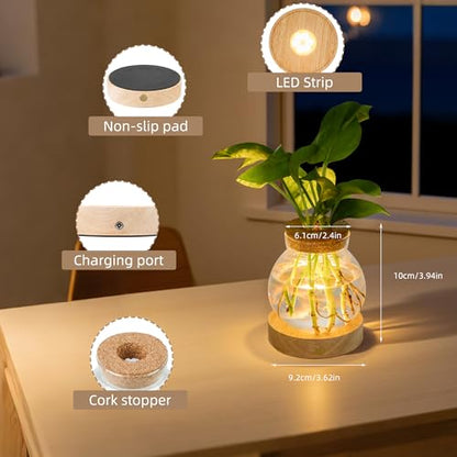 Plant Propagation Station with Light,Everkeen Valentines Day Glass Terrarium with Stepless Dimming Function Hydroponic Glass Container Vase Jars Gardening Gifts for Mom Women Plant Lovers - color: Clear 1 Pack