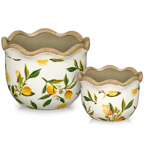 Rustic Farmhouse Ceramic Plant Pots, 6.6 + 5.5 inch Yellow and White Plant Pot with Drainage Holes Set of 2 Vintage Planters with Lemon Patterns Decorative Flower Pots for Indoor and Outdoor Plants - color: Yellow & White Lemon Patterns