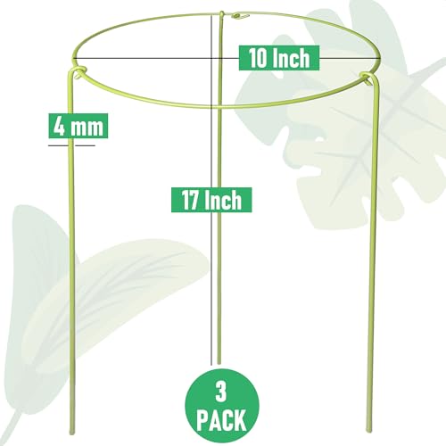 3-Pack Heavy Duty Plant Stakes and Supports for Indoor Outdoor Plants, Metal Support Stakes & Cage Rings, Ideal for Monstera, Peonies, Roses (10" W x 17" H) - size: 10"W x 17"H, 3-Pack