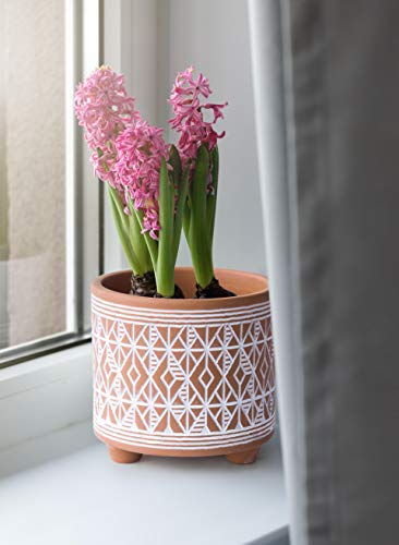 D'vine Dev 2-Pack Terracotta Pots, 4/6 in, Savanna Weave, 31-953-G-1 - style: Savanna Weave