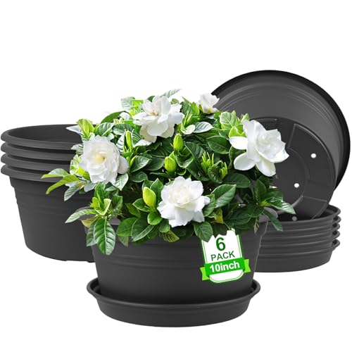 6 Pack 10 inch Plant Pot, Round Plastic Plant Pots with Drainage Holes - color: Dark Gray, size: 10 Inch - 6Pack