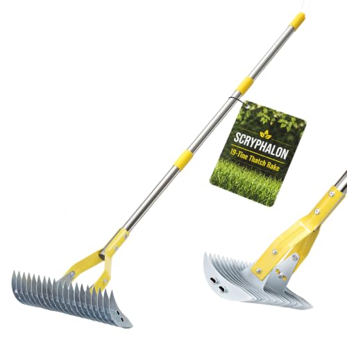 Thatch Rakes , 15-Inch Wide Thatching Rake for Cleaning Dead Grass, 55-Inch Efficient Steel Dethatcher Rake with Adjustable Metal Handle, Thatch Rakes for Lawns, Garden, Yard - color: Silver, size: 55''