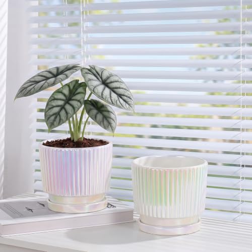 Pearl Plant Pots, Ceramic Flower Pots with Drainage Holes & Saucer Set of 2 - color: 02-brightly White