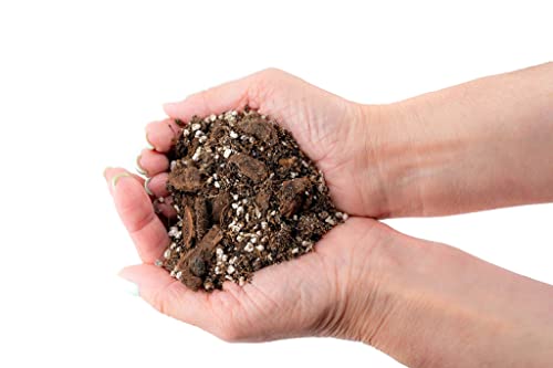Premium Aroid Potting Mix - 10 Quart - Soil Free Blend for Aroids - Growing Medium for House Plants by Gardenera - (2 Bags of 5 Quart) - color: Aroid Potting Mix, size: 10 Quart Bag