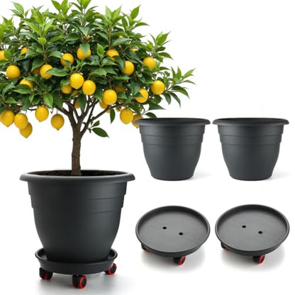 RooTrimmer 3 Pack 16 Inch Rolling Large Plant Pots - color: Black, size: 16 inch+3 trays