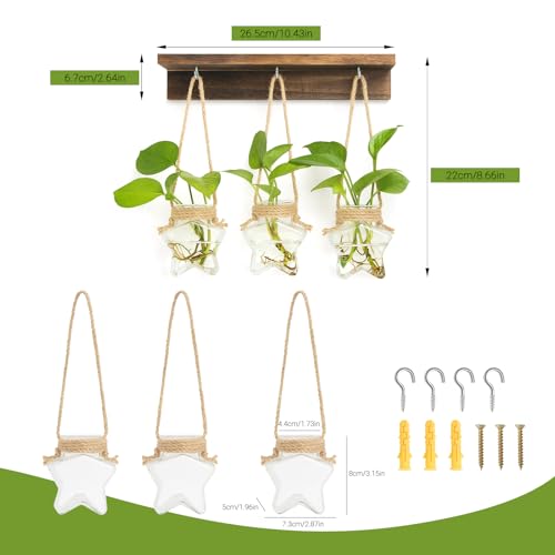 XXXFLOWER Wall Hanging Propagation Station with 3 Star-Shaped Glass Vase - size: 3 Star-Shaped Glass Vases