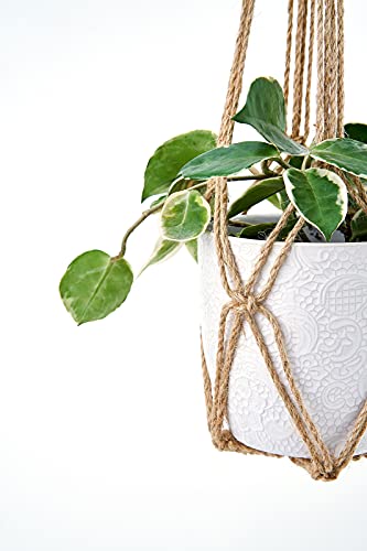 Dahey Macrame Plant Hanger Indoor Hanging Plant Holder Planter, Set of 3 - color: Brown