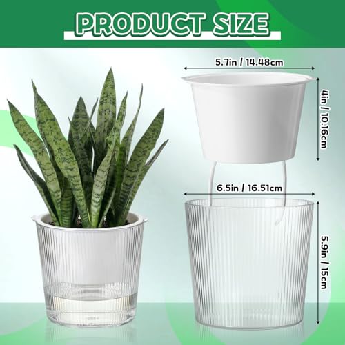 6 Pack Self Watering Pots for Indoor Plants Plastic Vertical Ribbed Semi Transparent Planters, Dual Layer Reservoir for Indoor Succulents Herbs Pothos(Clear, White,6.5 x 5.9 Inch) - color: Clear, White, size: 6.5 x 5.9 Inch