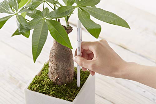 Sustee Aquameter (Medium Green Refillable - Bundle of 2) - House Plant Soil Moisture Meter, Humidity Sensor Probe, Water Level Indicator - Best for Indoor Potted Plants