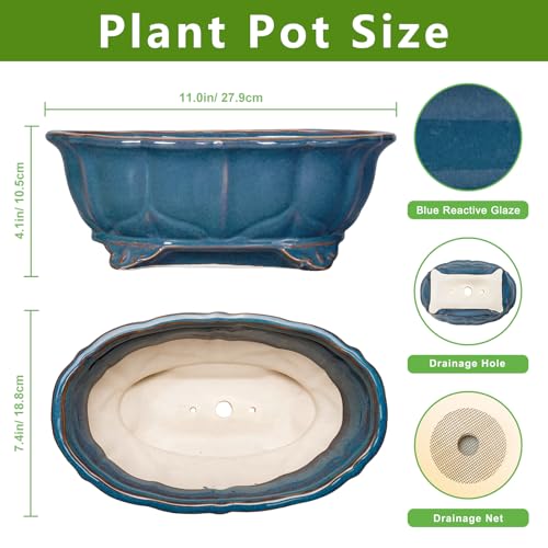 Bonsai Tree Pot - 11 Inch Ceramic Succulent Pots, Bonsai Planter for Indoor Outdoor, Decorative Plant Pot with Drainage Hole, Oval Flower Pot, Home Garden Decor, Garden Gifts, Retro Blue - color: Oval Blue, size: 11 Inch