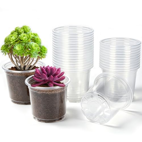 JERIA 30 Pack 4Inch Clear Nursery Pots with Drainage Holes, Clear Plant Pot for Planting, Transparent Plastic Plant Pots,Durable Seed Starting Pot for Succulents - size: 4Inch-30Pack