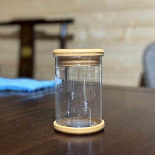 Desktop Plant Propagation Station, Hydroponic Glass Vase Water Plant Jars, Modern Desktop Gardening Decor for Home Office