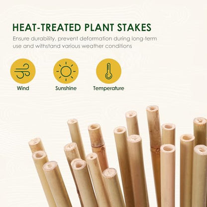 Cambaverd Bamboo Stakes 7 Feet, 15 Pack Bamboo Poles for Tall Plants - size: 7 FT-15PACK