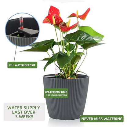 Dexceder 11x10 Self Watering Planters Indoor (2 Pack, Gray) - color: Gray, size: 11x10