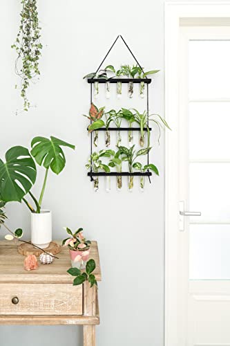 Mkono Plant Propagation Station, 3 Tier Black Wall Hanging Vase Test Tubes - color: Black, size: Medium