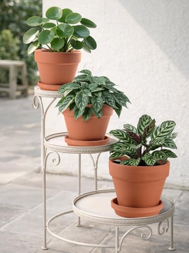 INGOFIN Terracotta Pots Set with Saucer - 5/6/7 inch Ceramic Clay Planters with Drainage Hole, Garden Flower Succulent Pots with Tray for Indoor Outdoor Plants, Set of 3 - size: 5/6/7 inch -3 pcs