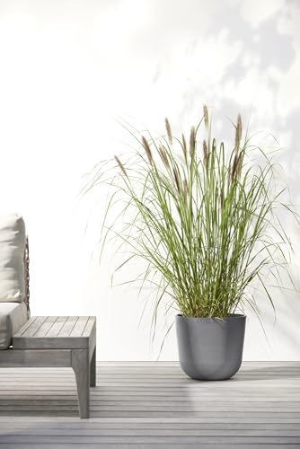 Ecopots Oslo Round Flower Planter, Grey, 10" - color: Gray, size: 10"