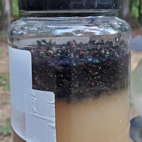 Reusable Fly Traps Outdoor Bottles & 10 Pack Fly Trap Bait Refills