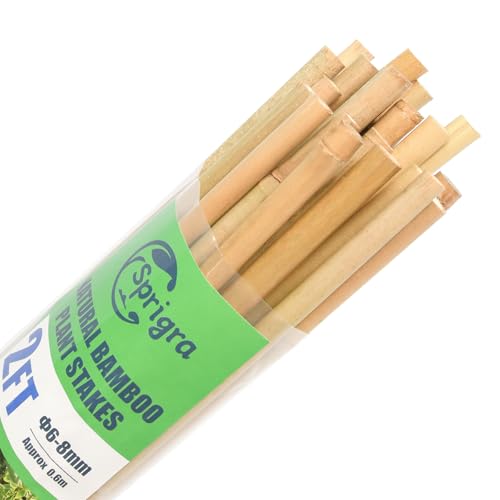 Bamboo Stakes 2FT 35pcs, 24 inch Garden Stakes Multi-Purpose, Bamboo Plant Support Stakes for Beans, Peppers, Flowers, Potted, Maintain the Plant Posture, Strengthen and Stem - size: 2FT,Pack of 35