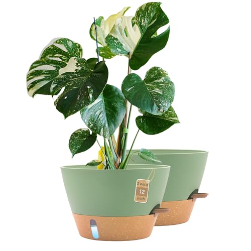 12 Inch Self Watering Pot with Visual Water Window, Drainage Holes & Watering Lip, Set of 2 Large Plastic Planters for Indoor Outdoor Plants, Modern Decorative Flower Pot (Green) - color: Green, size: 12 Inch-Set of 2