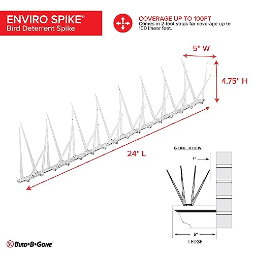 Bird B Gone EnviroSpike Plastic Bird Spikes, 100ft, Clear - size: 100 Feet Long