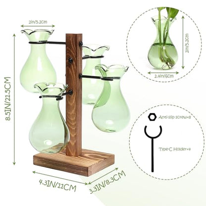 Plants Propagation Stations Bulb Glass Propagation Birthday Gift for Women - color: Green
