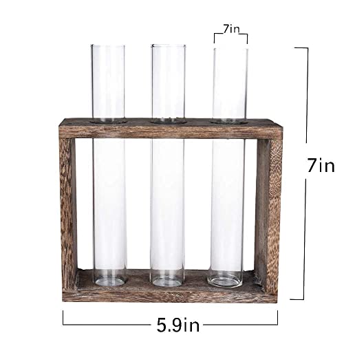 Wall Mounted Hanging Glass Test Tube Planter Propagation Station Glass Vase Rack with Wood Stand, Plant Terrarium Holder for Hydroponics Succulent Air Bamboo Plants with Test Tube