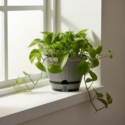 Sun-E 10" Self-Watering Whiskey Barrel Planter 3 Pack for Indoor Outdoor - color: White Wooden Grain