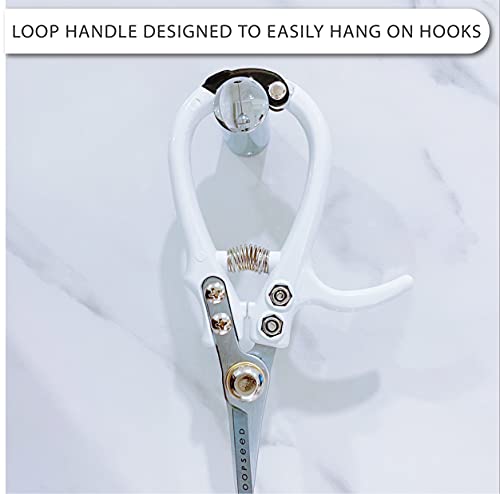 Precision Garden Trimming Scissors & Hand Pruner - White