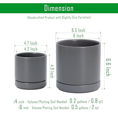 D'vine Dev 2-Pack Ceramic Pots with Saucers, Grey, 4/6 in, 94-G-S-3 - color: Gray, size: Small