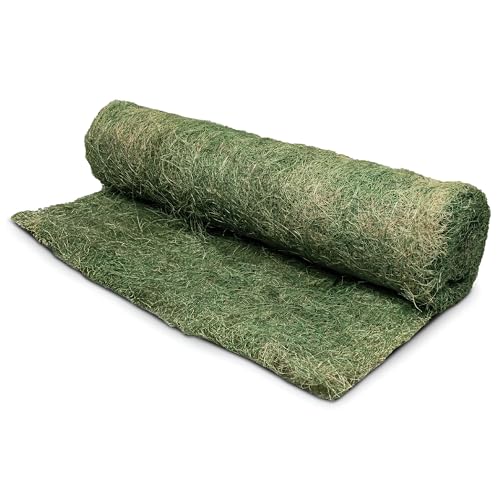 Dewitt Single Net Excelsior Erosion Control Blanket, 4x112.5 Ft, Green - size: 1 Roll
