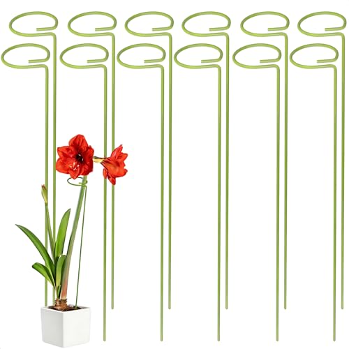 12-Pack Plant Stakes for Indoor Plants, 16 Inch Heavy Duty Adjustable Support Stakes & Tall Sticks for Monstera, Amaryllis, Orchid, Snake Plant, Single Stem, Indoor Outdoor - size: 16"Height, 12-Pack