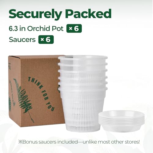 T4U Clear Orchid Pots 6.3 Inch 6 Pack, Orchid Pot with Holes Repotting - size: 6.3 Inch, 6 Pack