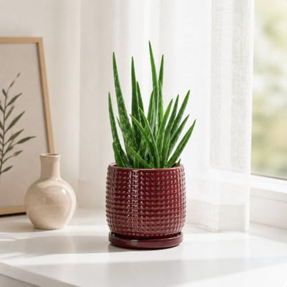 D'vine Dev Beaded Ceramic Pot with Saucer, 4 in, Burgundy Red, 27-C-Z-M - color: Burgundy Red, size: 4.3 Inch