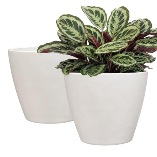 8" Vogue Planter in Stark White - color: Stark White