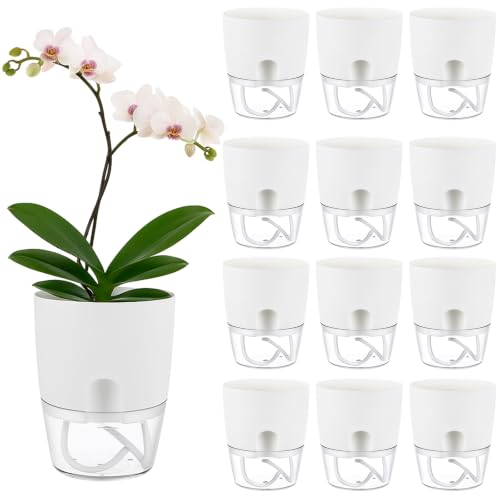 Planterhoma 12 Pack Self Watering Pots for Indoor Plants, 6 Inch Plant Pot Plastic Self Watering Planter for Orchid, African Violet, Small Clear Flower Pots with Drainage Holes and Wicking Rope, White - color: White, size: 6 In - 12 Packs