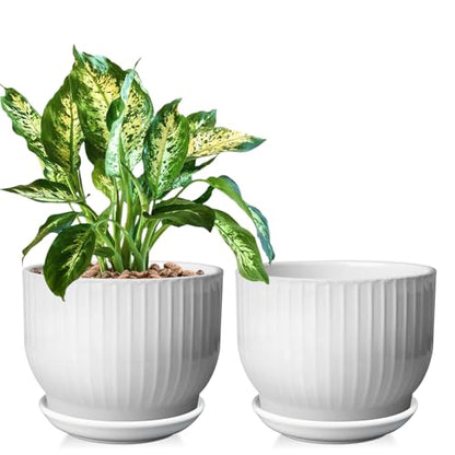 Ceramic Plant Pots, 6.7 Inch, Pure White, Set of 2 - color: Pure White, size: 6.7 Inch(2 PCS)