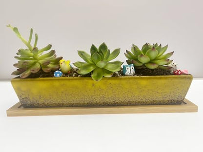 9.8inch yellow long rectangle Ceramic Succulent Planter Pot,one set of Mini Flower Plant Container with Bamboo Saucers. Product size:9.8 x2.35x1.77 inch,not include the plant. (Yellow) - color: Yellow