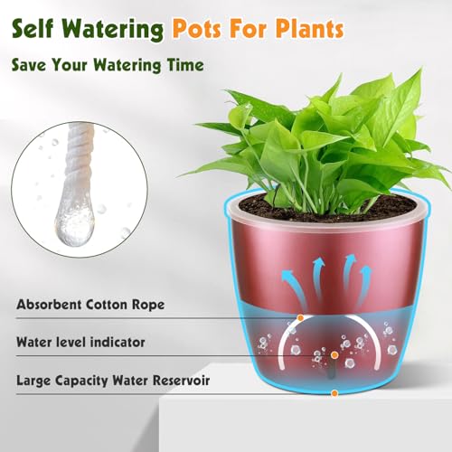Self Watering Pots for Indoor Plants, 6-Pack 5'' Self Watering Planter with Drainage Holes, Small African Violet Pots with Water Indicator, Clear Wick Orchid Pot, Rose Gold - color: Rose Gold/6 Pack, size: 5"