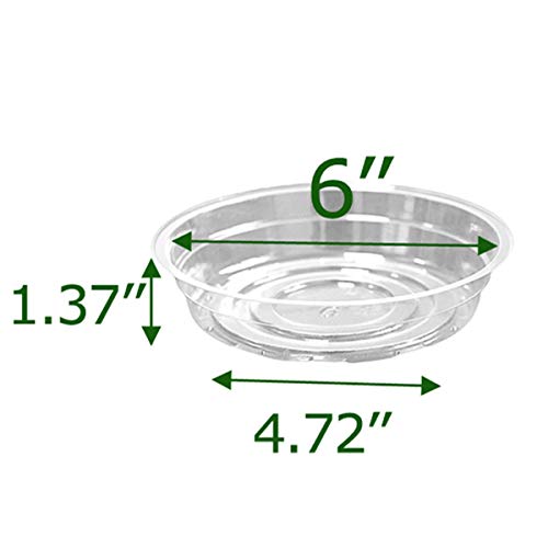 TRUEDAYS 6 Inch 5 Pack Clear Plant Saucers Flower Pot Tray Excellent for Indoor & Outdoor Plants - size: 5-Pack (6'' Only)