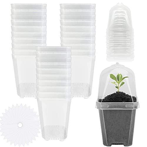 EBaokuup 30PCS Clear Plant Nursery Pots with Humidity Dome - 3" Durable Plastic Gardening Pot, Small Plant Container for Seedlings/Vegetables/Succulents/Cuttings - color: 30pcs-white, size: 3 Inch
