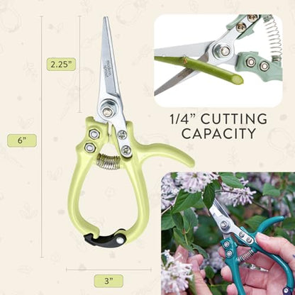 Modern Sprout Pruning Shears- Garden Snips-Herb Scissors- Chartreuse 1-Pack - color: Chartreuse