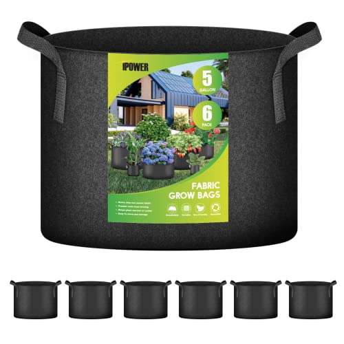 iPower Plant Grow Bag 5 Gallon 6-Pack Heavy Duty Fabric Pots, 300g Thick Nonwoven Fabric Containers Aeration with Nylon Handles, for Planting Vegetables, Fruits, Flowers, Black 2024 Version - color: Black, size: 5 Gallon