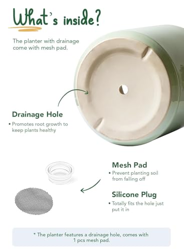 LE TAUCI 12 Inch Pot for Plants, Ceramic Indoor Planter, Sage Green - color: Sage Green