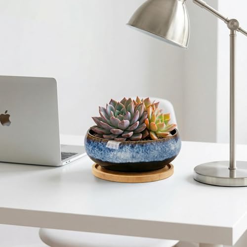 Succulent Pots with Drainage Hole Ceramic Bonsai Tree Pots, Shallow Planter with Saucer, Round Plant Pot for Succulent Indoor Outdoor, Porch Decor, Gifts for Plant Lover 6 inch Blue - color: Blue, size: 6 inch